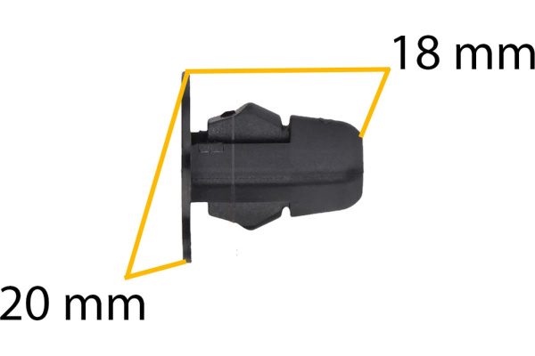 53953641